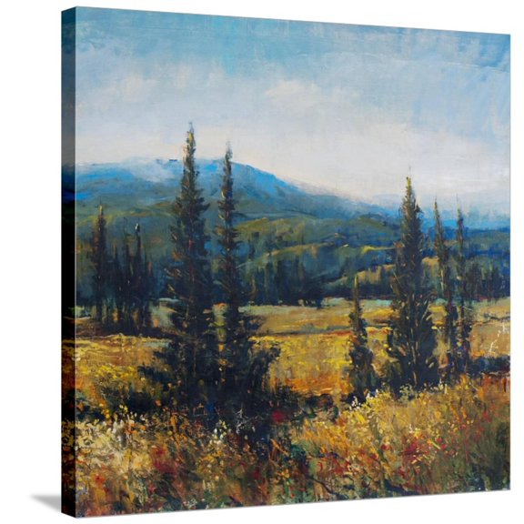 Art.com Pacific Northwest II Stretched Canvas Print Wall Art by Tim O'toole, 30" x 30"