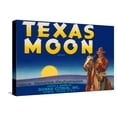 thumbnail image 1 of Art.com Packing Crate Label, Texas Moon Stretched Canvas Print Wall Art, 24" x 16", 1 of 4