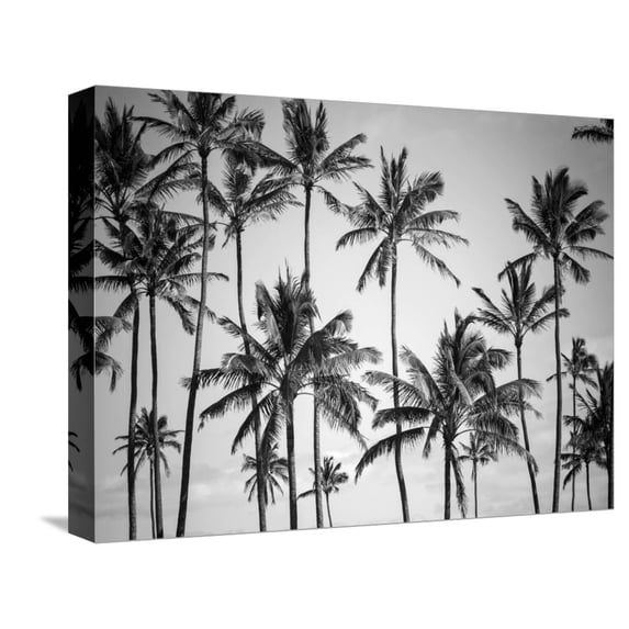 Art.com Palm Heaven Stretched Canvas Print Wall Art by Design Fabrikken, 16" x 12"