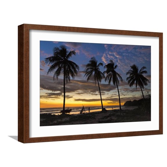 Art.com Palm Trees at Sunset on Playa Guiones Surfing Beach Photographic Print by Rob Francis, Brown Frame Wall Art, 23" x 17"