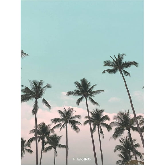 Art.com Palms in the City Stretched Canvas Print Wall Art by PhotoINC Studio, 12" x 16"