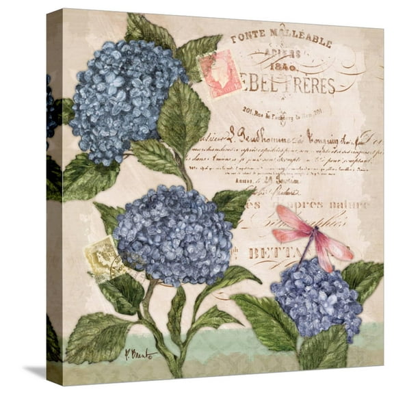 Art.com Parisian Hydrangeas I Stretched Canvas Print Wall Art by Paul Brent, 16" x 16"