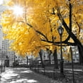 thumbnail image 1 of Art.com Park Pretty II Photographic Print by Assaf Frank, 16" x 16", 1 of 3
