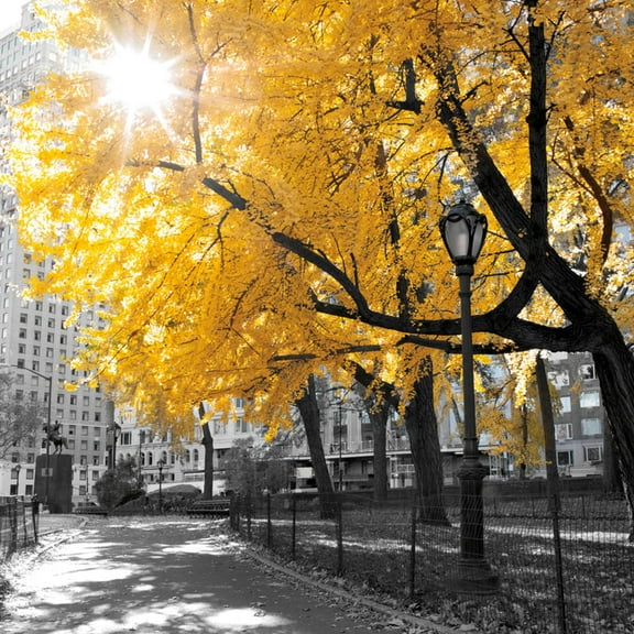 Art.com Park Pretty II Photographic Print by Assaf Frank, 16" x 16"