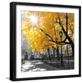 thumbnail image 1 of Art.com Park Pretty II Photographic Print by Assaf Frank, Black Frame Wall Art, 21" x 21", 1 of 4
