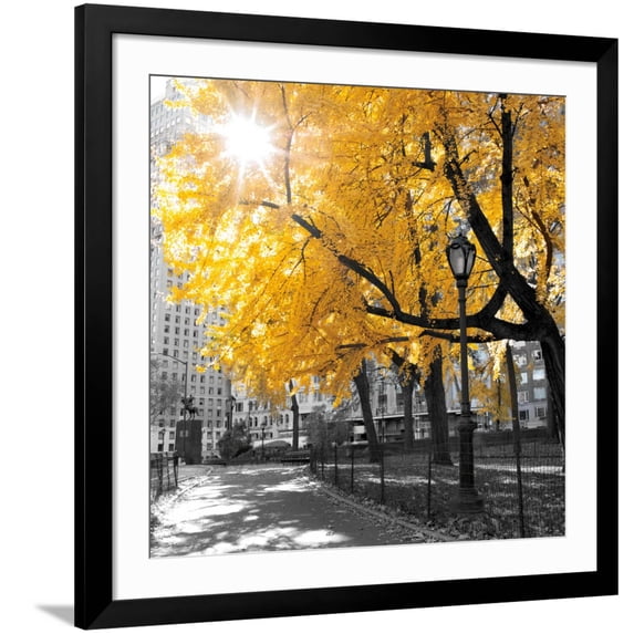 Art.com Park Pretty II Photographic Print by Assaf Frank, Black Frame Wall Art, 38" x 38"
