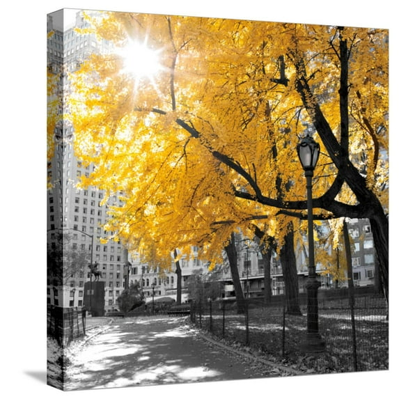 Art.com Park Pretty II Stretched Canvas Print Wall Art by Assaf Frank, 16" x 16"