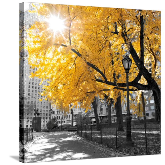 Art.com Park Pretty II Stretched Canvas Print Wall Art by Assaf Frank, 30" x 30"