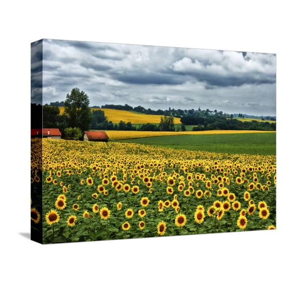 Art.com Pastoral Countryside IV Stretched Canvas Print Wall Art by Colby Chester, 16" x 12"