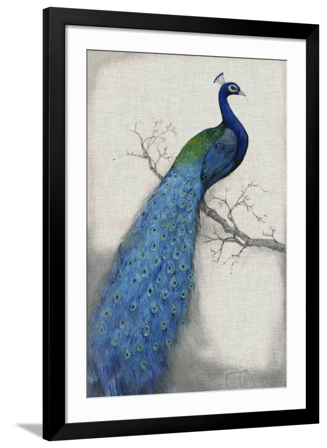 Peacock Blue I Vertical Print with Black Wood Frame