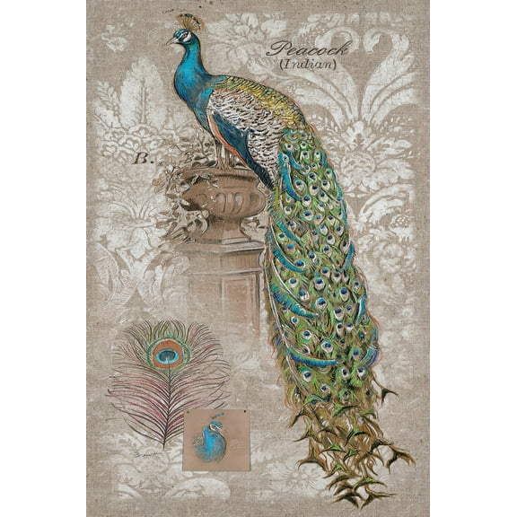 Art.com Peacock on Linen 2 Art Print by Chad Barrett, 12" x 18"