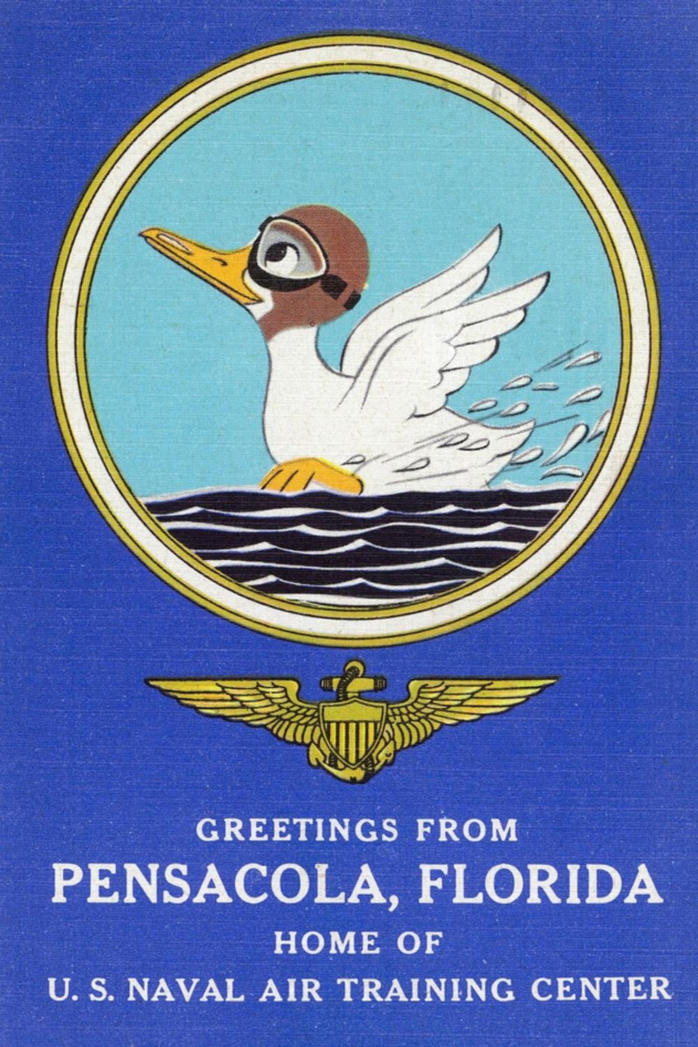 Pensacola, Florida Aviating Duck Lands in Water, Home of US