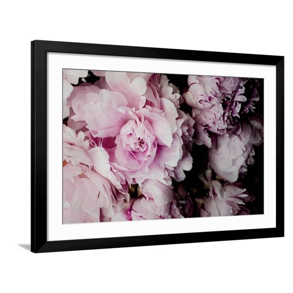 Art.com Peonies Galore I Photo by Elizabeth Urquhart, Black Frame Wall Art, 44" x 32"