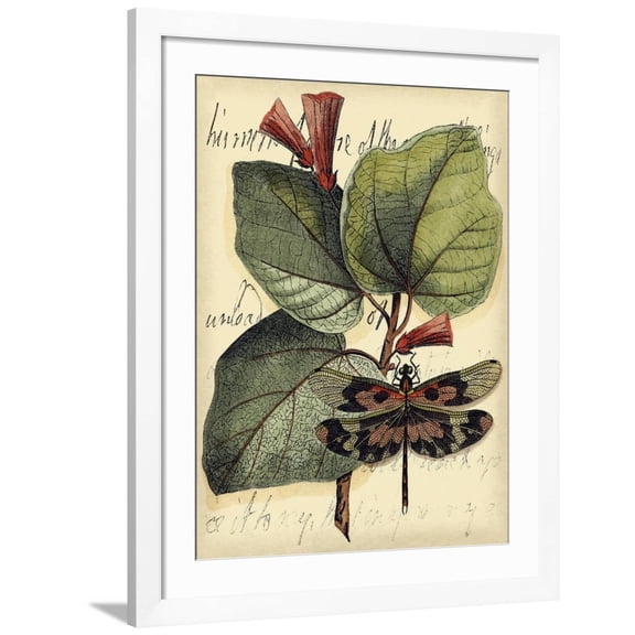 Art.com Petite Dragonflies VI Art Print by Vision Studio, White Frame Wall Art, 32" x 40"