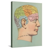 Art.com Phrenology Chart of Head Stretched Canvas Print Wall Art, 18" x 24"