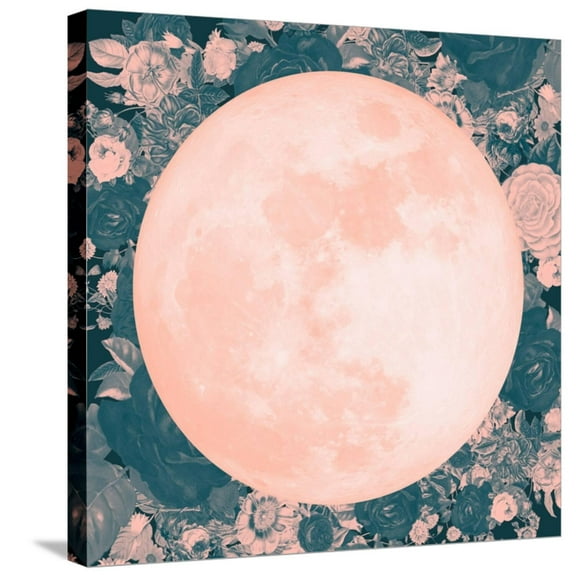 Art.com Pink Moon Stretched Canvas Print Wall Art, 24" x 24"
