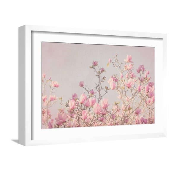 Art.com Pink Tree Tops II Photo by Elizabeth Urquhart, White Frame Wall Art, 23" x 17"