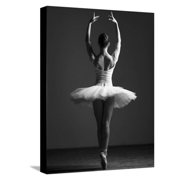 Art.com Pirouette Stretched Canvas Print Wall Art by Design Fabrikken, 12" x 16"
