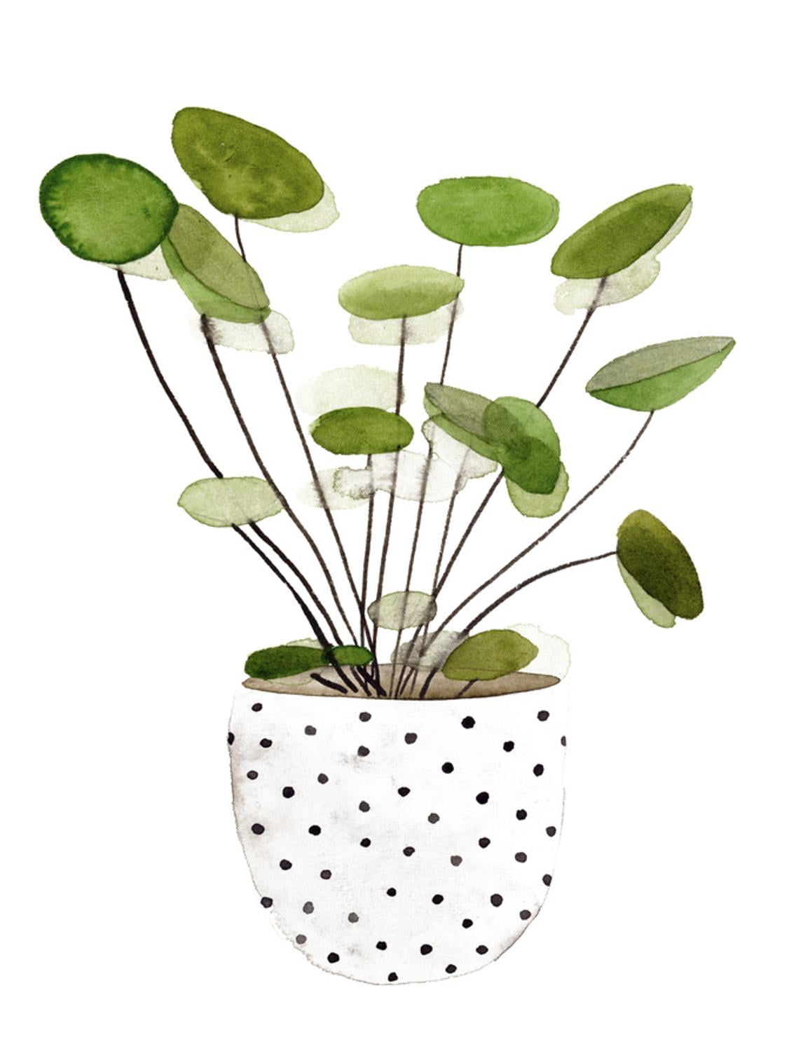 Green Plant in Polka Dot Pot Unframed Wall Art Print, 12" x 16"