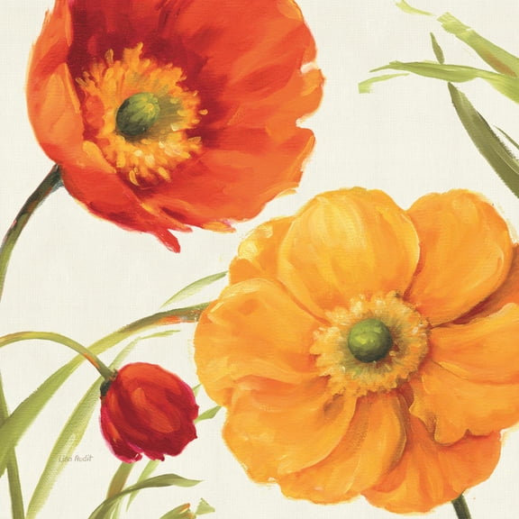 Art.com Poppies Melody II Art Print by Lisa Audit, 16" x 16"
