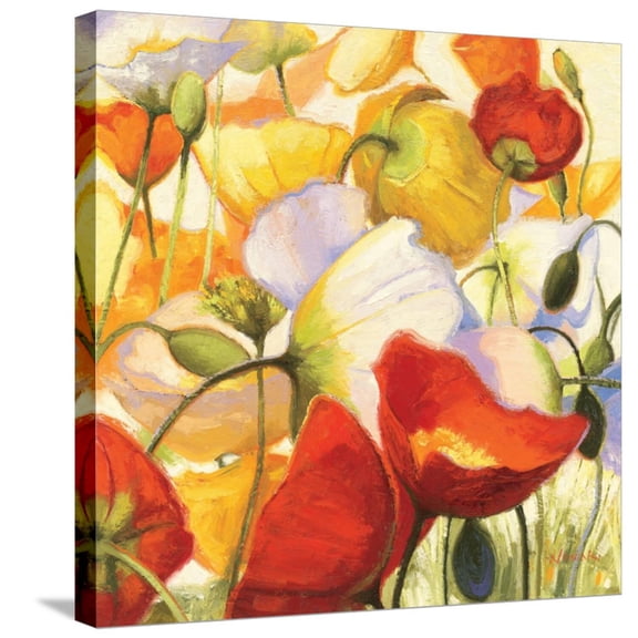 Art.com Poppies Up Close Stretched Canvas Print Wall Art by Shirley Novak, 24" x 24"