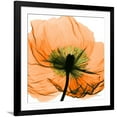 thumbnail image 1 of Art.com Poppy Orange Photographic Print by Albert Koetsier, Black Frame Wall Art, 38" x 38", 1 of 5