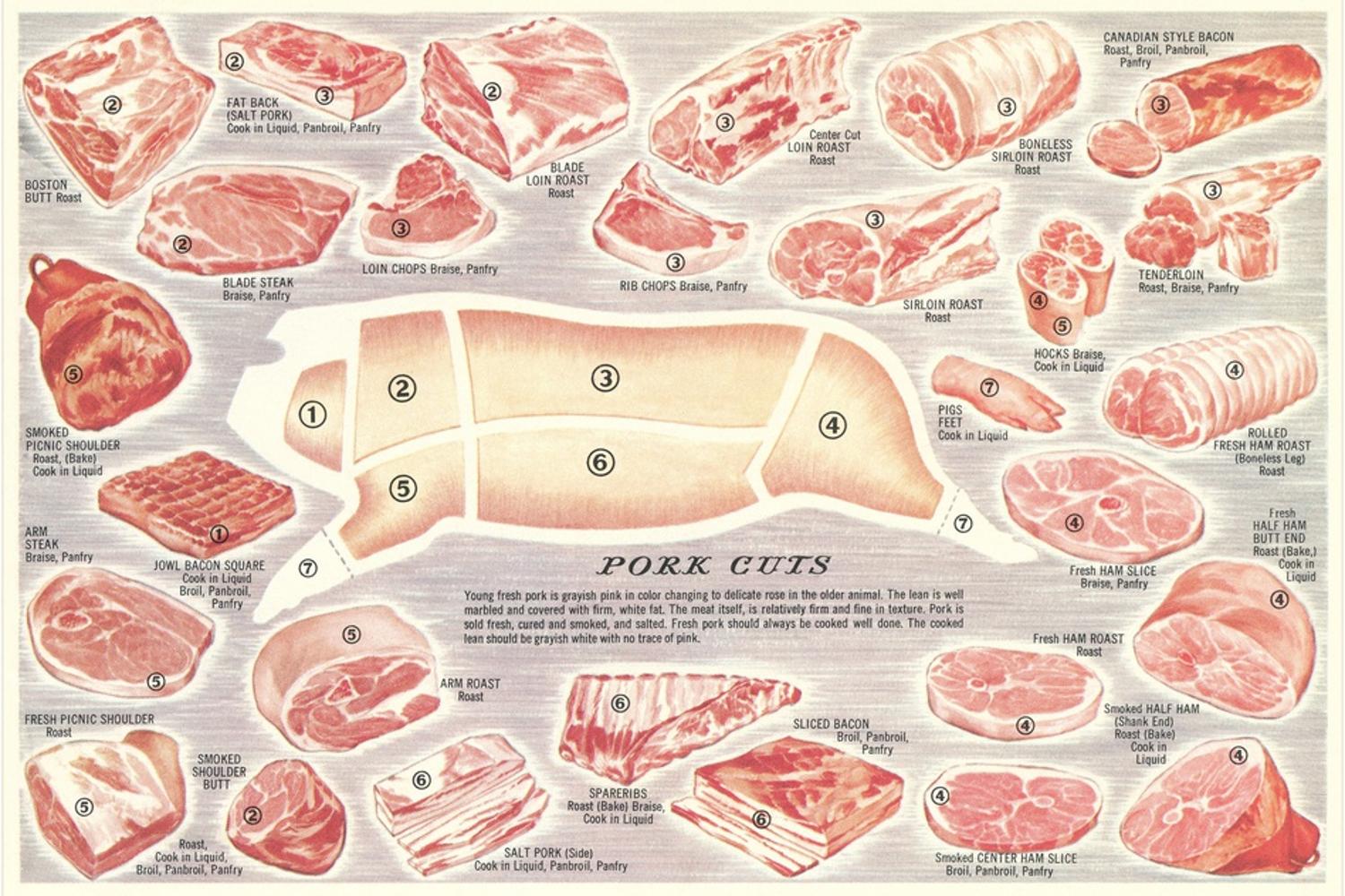 Art.com Pork Cuts Chart Art Print, 36" x 24" - Walmart.com
