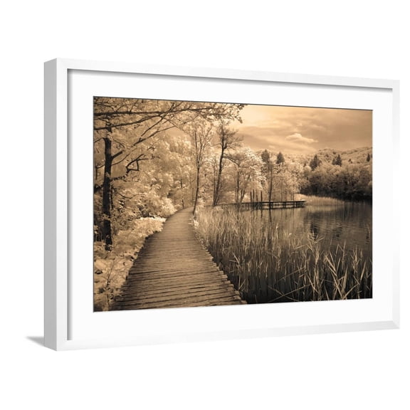 Art.com Print Art Print by Ily Szilagyi, White Frame Wall Art, 29" x 21"