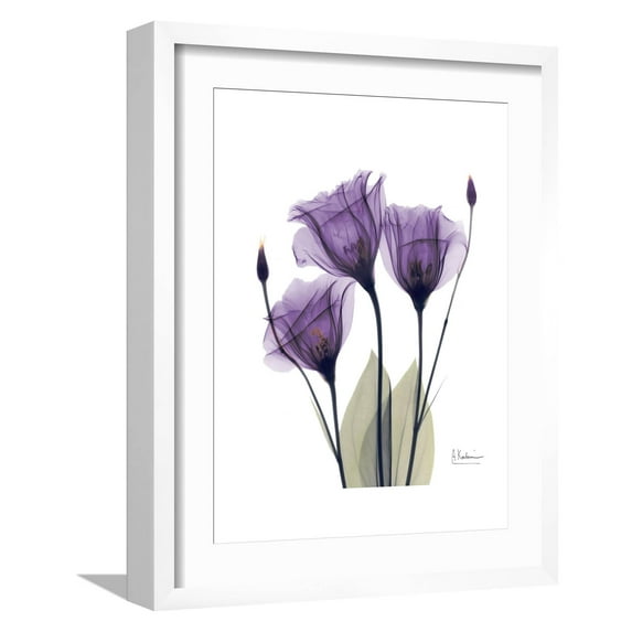 Art.com Purple Gentian Triplet Premium Giclee Print by Albert Koetsier, White Frame Wall Art, 17" x 21"