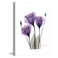 thumbnail image 1 of Art.com Purple Gentian Triplet Stretched Canvas Print Wall Art by Albert Koetsier, 12" x 16", 1 of 4