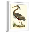thumbnail image 1 of Art.com Purple Heron Art Print by John Selby, White Frame Wall Art, 23" x 29", 1 of 5