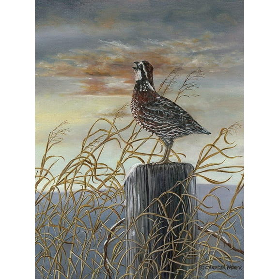 Art.com Quail on a Post Art Print by Carolyn Mock, 12" x 16"