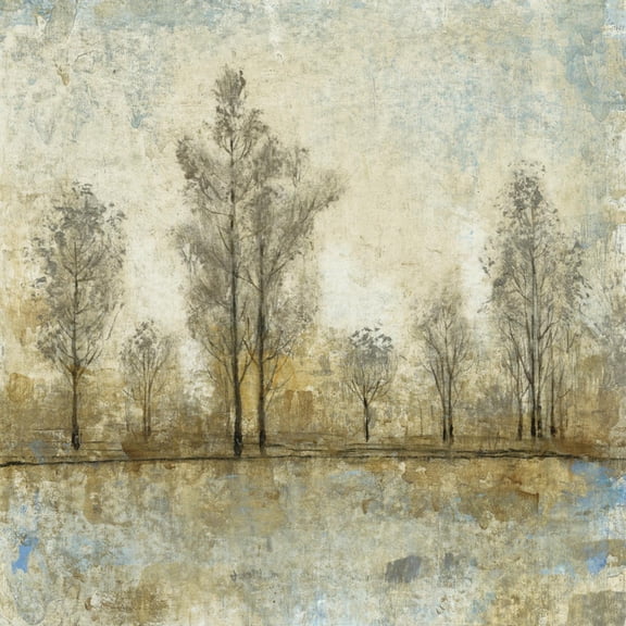Art.com Quiet Nature IV Art Print by Tim OToole, 16" x 16"