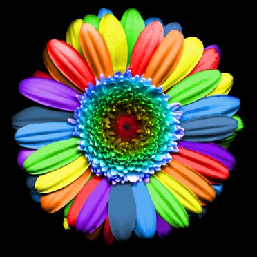 Art.com Rainbow Flower Photographic Print by Magda Indigo, 24" x 24"