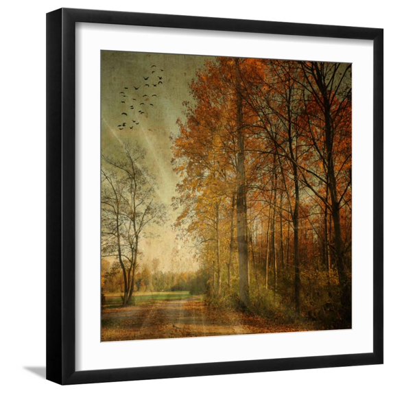 Art.com Ray Fall Photographic Print by Philippe Sainte-Laudy, Black Frame Wall Art, 21" x 21"