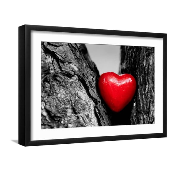 Art.com Red Heart in a Tree Trunk. Romantic Symbol of Love, Valentine's Day. Black and White with Red. Photographic Print by Michal Bednarek, Black Frame Wall Art, 23" x 17"