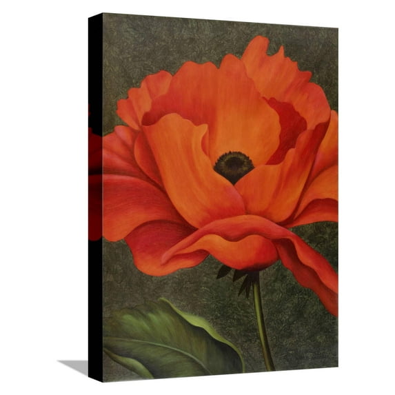 Art.com Red Poppy Stretched Canvas Print Wall Art by John Zaccheo, 12" x 16"