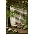 Redwoods State Park Deer and Fawns Art Print by Lantern Press