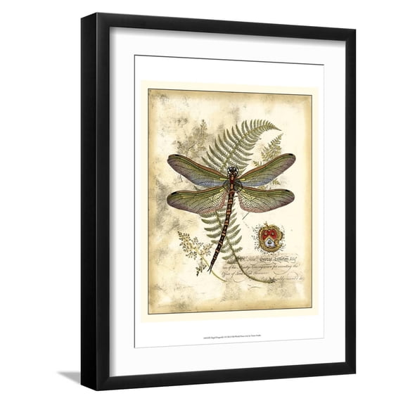 Art.com Regal Dragonfly I Art Print by Vision Studio, Black Frame Wall Art, 17" x 21"
