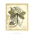 thumbnail image 1 of Art.com Regal Dragonfly II Art Print by Vision Studio, 12" x 16", 1 of 4