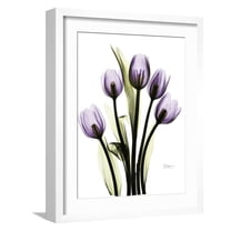 Art.com Regal Tulip B13 Art Print by Albert Koetsier, White Frame Wall Art, 17" x 21"