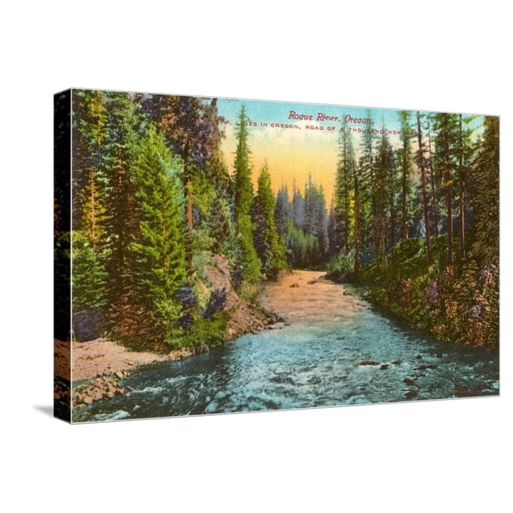 Art.com Rogue River, Oregon Stretched Canvas Print Wall Art, 24" x 16"