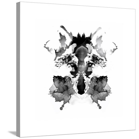 Art.com Rorschach Stretched Canvas Print Wall Art by Robert Farkas, 30" x 30"