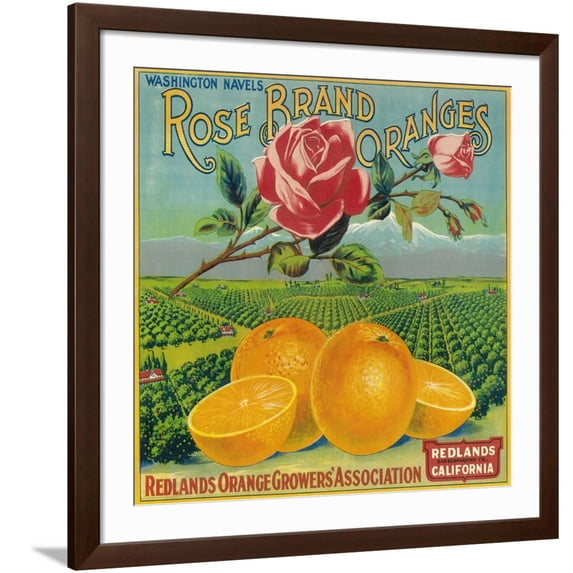 Art.com Rose Orange Label - Redlands, CA Art Print by Lantern Press, Brown Frame Wall Art, 38" x 38"