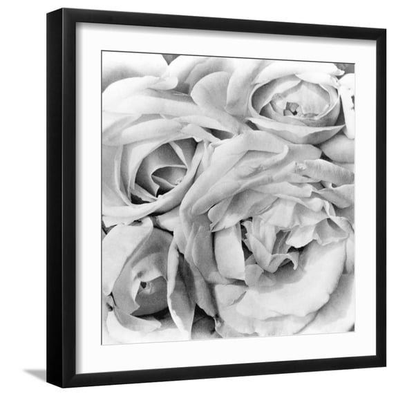 Art.com Roses, Mexico City, 1924 Photographic Print by Tina Modotti, Black Frame Wall Art, 21" x 21"