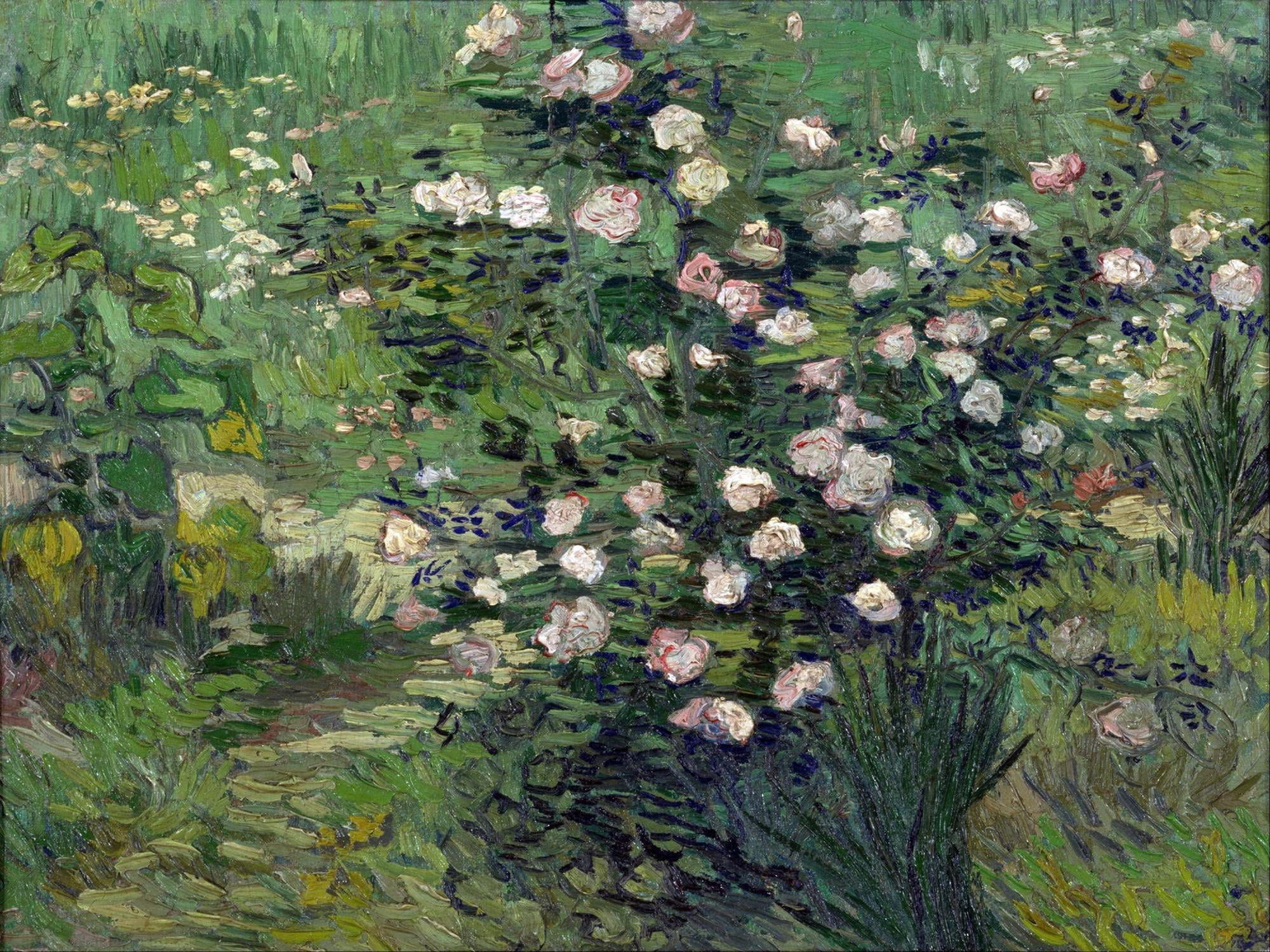 Art.com Roses Peinture De Vincent Van Gogh (1853-1890) 1889 National