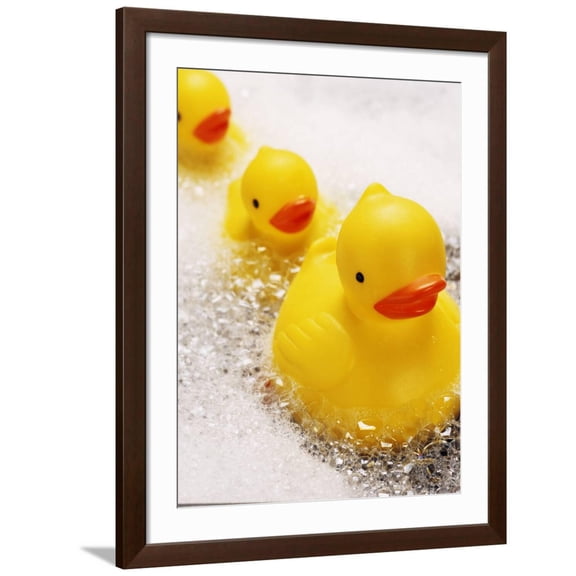 Art.com Rubber Ducks in Bath Photographic Print by John Miller, Brown Frame Wall Art, 32" x 40"