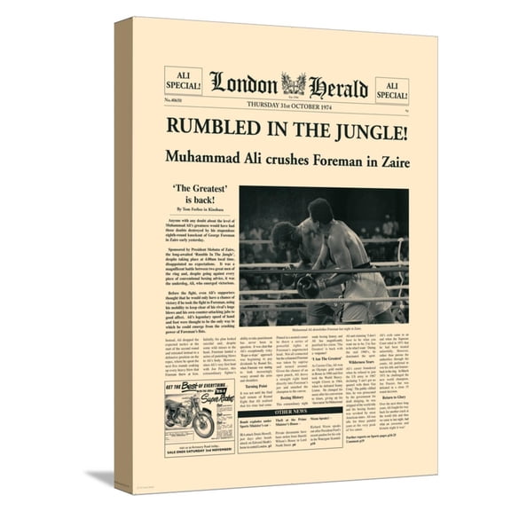 Art.com Rumbled In The Jungle! Stretched Canvas Print Wall Art by The Vintage Collection, 12" x 16"