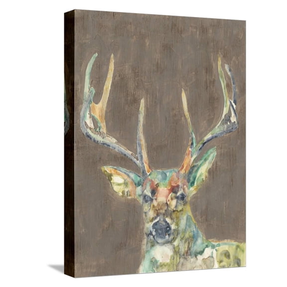 Art.com Rustic Wildlife I Stretched Canvas Print Wall Art by Jennifer Goldberger, 12" x 16"