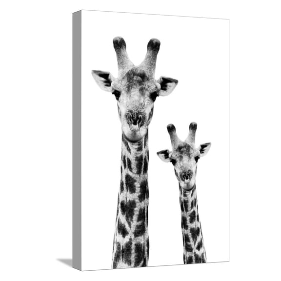 Art.com Safari Profile Collection - Portrait of Giraffe and Baby White Edition IV Stretched Canvas Print Wall Art by Philippe Hugonnard, 12" x 18"